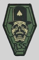 Woven patch skull